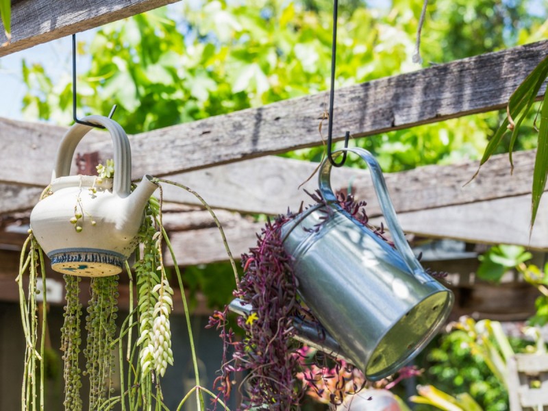 62 Regan Street, Rockingham WA 6168