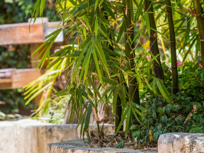 62 Regan Street, Rockingham WA 6168