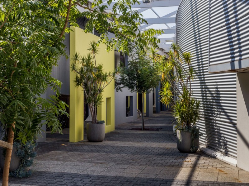 17 Little Brown Street, East Perth WA 6004