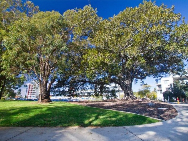 43/15 Tanunda Drive, Rivervale WA 6103