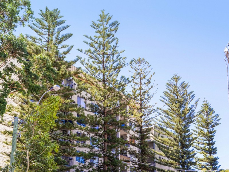 44/133 Lincoln Street, Perth WA 6000