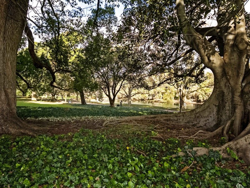 19/7 Vincent Street, Mount Lawley WA 6050