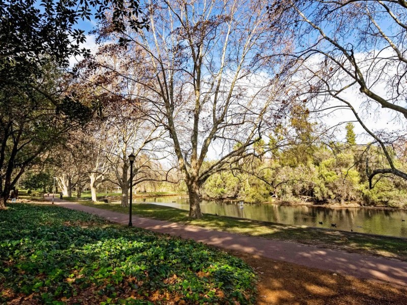 19/7 Vincent Street, Mount Lawley WA 6050