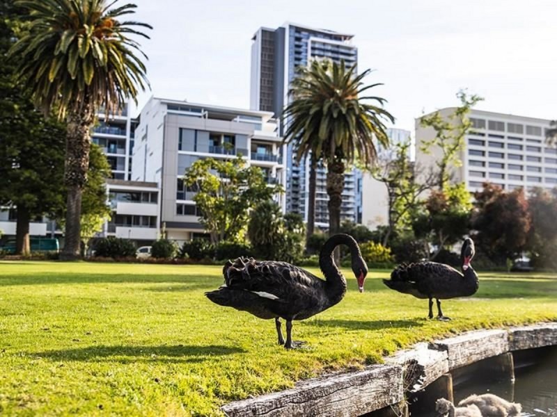 East Perth WA 6004