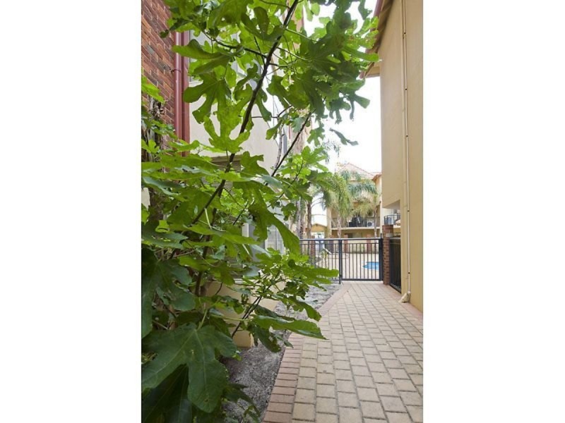 59/138 Adelaide Terrace, East Perth WA 6004