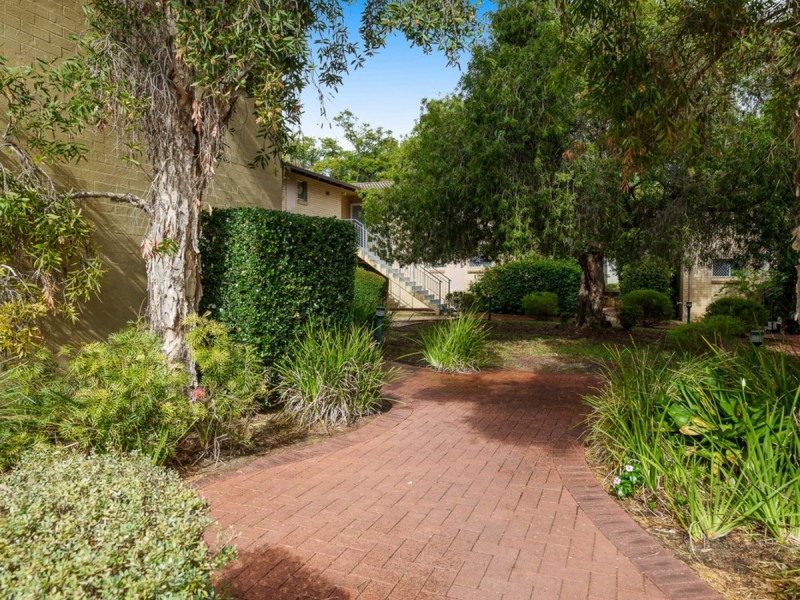 7/59 Second Avenue, Mount Lawley WA 6050