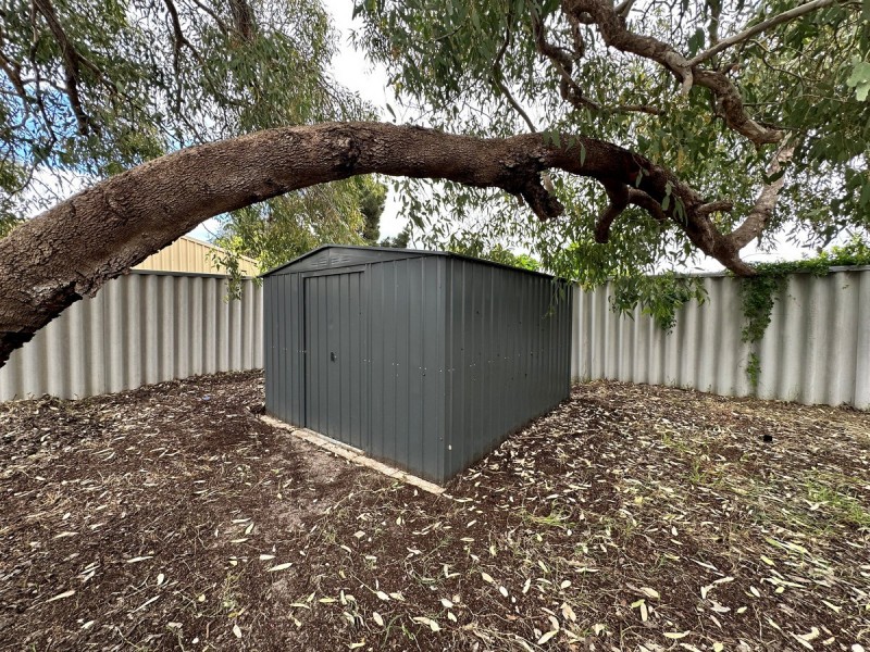 19 Kingfisher Avenue, Ballajura WA 6066