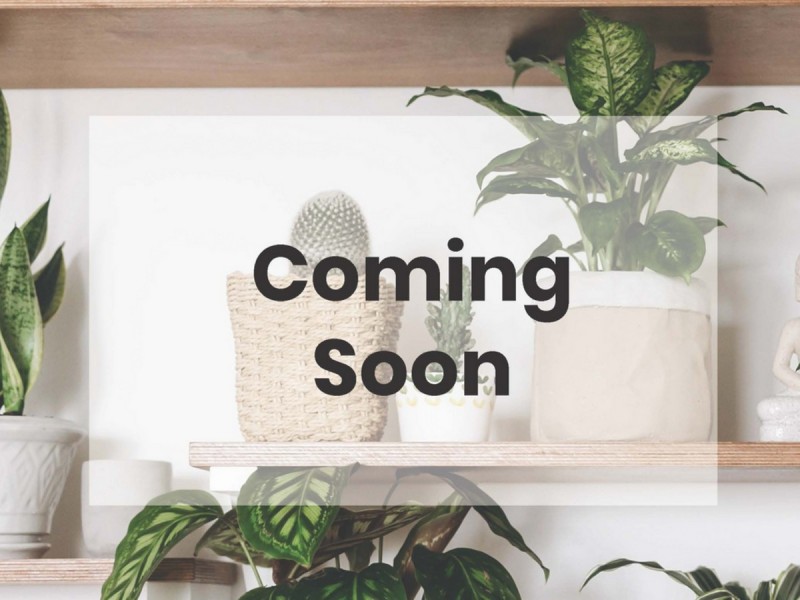 20 Nutcher Way, Parmelia WA 6167