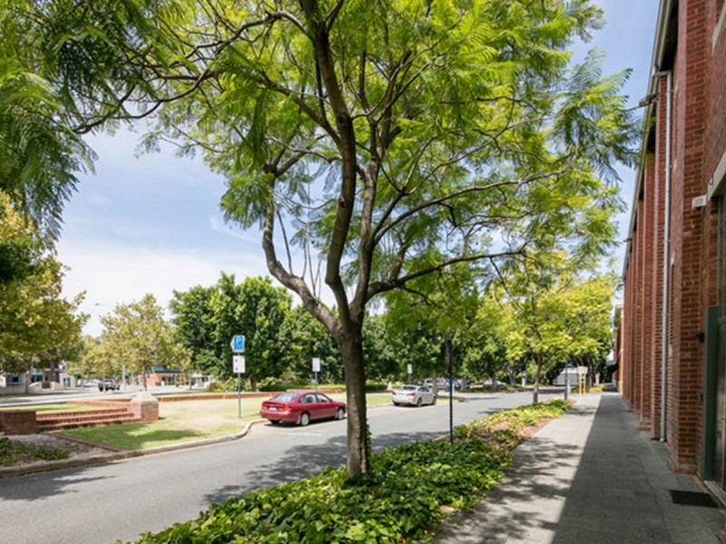 22 Little Saunders Street, East Perth WA 6004