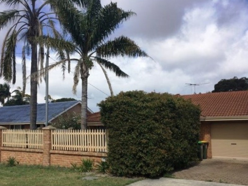 19A Knight Avenue, Yokine WA 6060