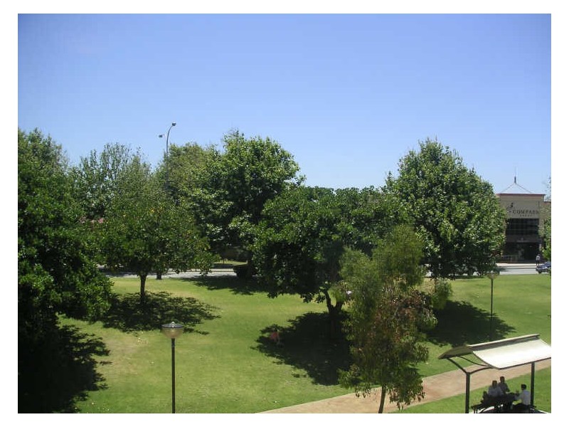 17/32 Eastbrook Terrace, East Perth WA 6004