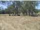 Blenheim QLD 4341