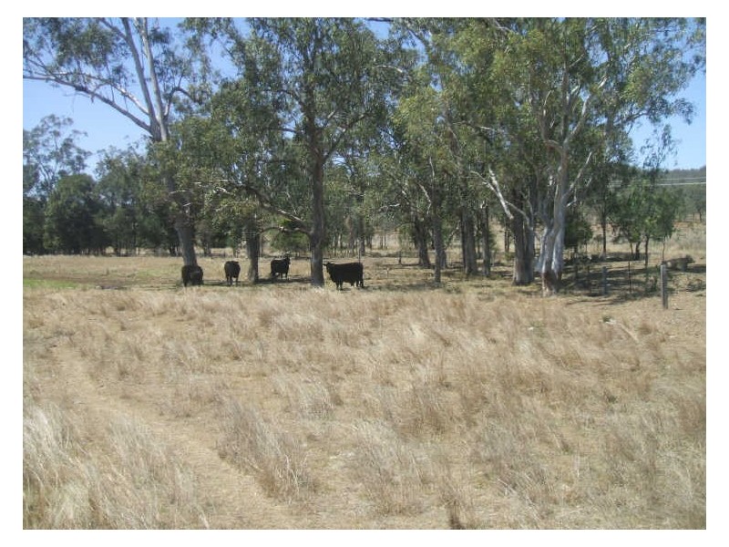 Blenheim QLD 4341