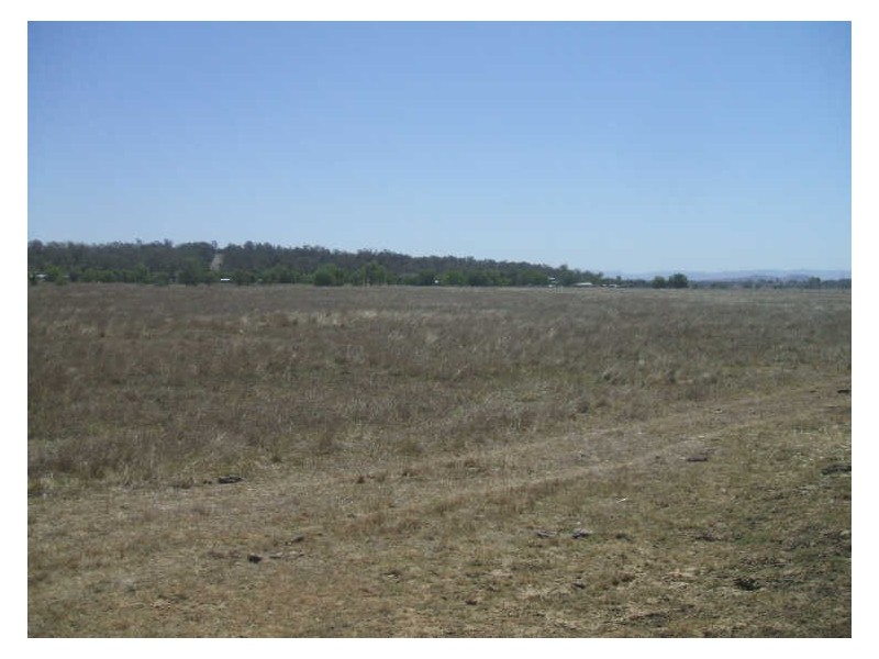 Blenheim QLD 4341