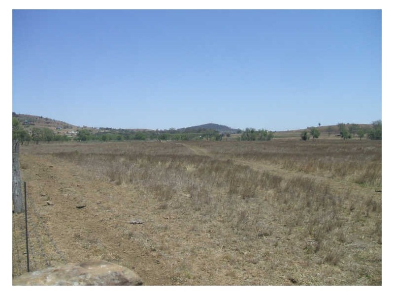 Blenheim QLD 4341