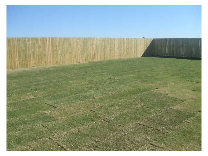 39 Cooper Street, Laidley QLD 4341