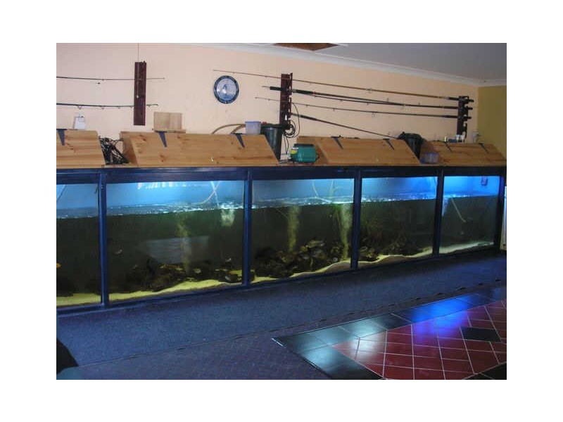 11 Wheatley Court, Regency Downs QLD 4341