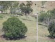 Blenheim QLD 4341