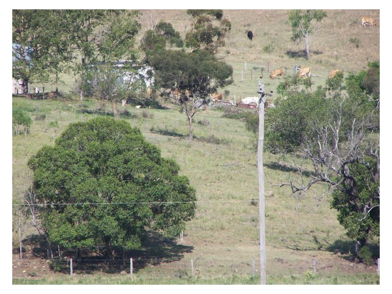 Blenheim QLD 4341