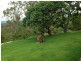 Laidley QLD 4341