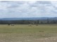 377 Watsons Road, Mount Tarampa QLD 4311