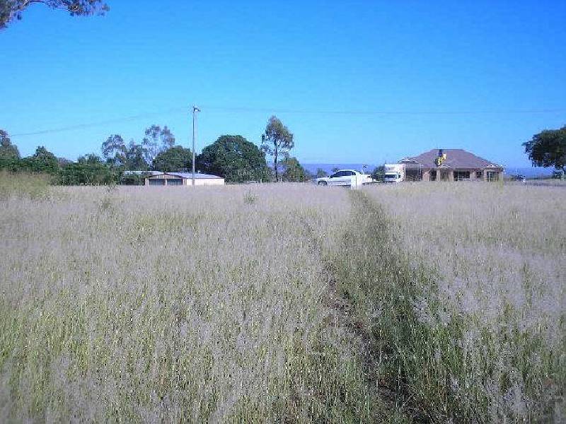 Regency Downs QLD 4341