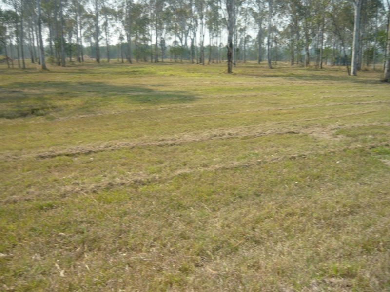 Treeview Estate/ Tallaringa Drive, Adare QLD 4343