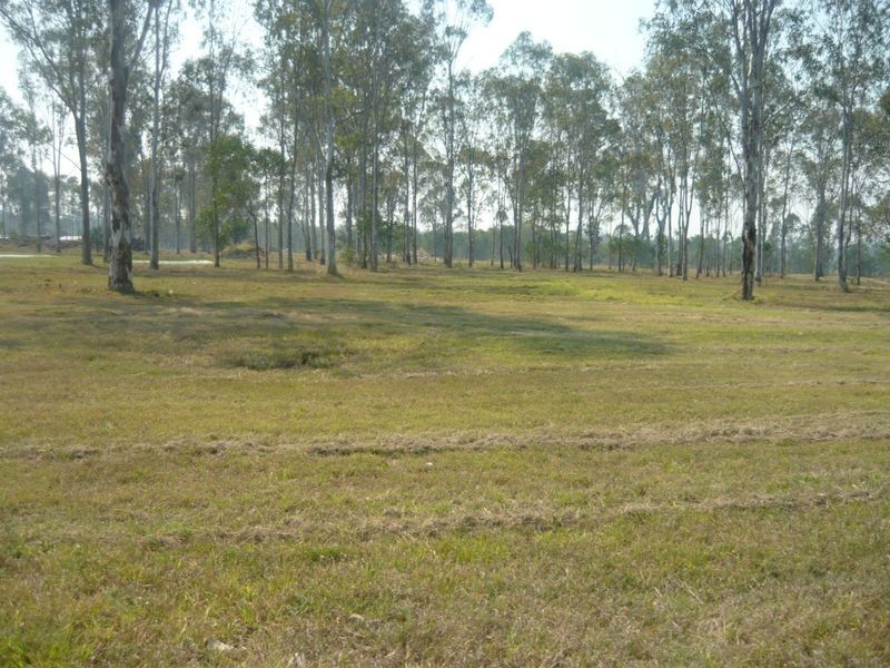 Treeview Estate/ Tallaringa Drive, Adare QLD 4343