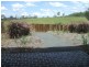 Gatton QLD 4343