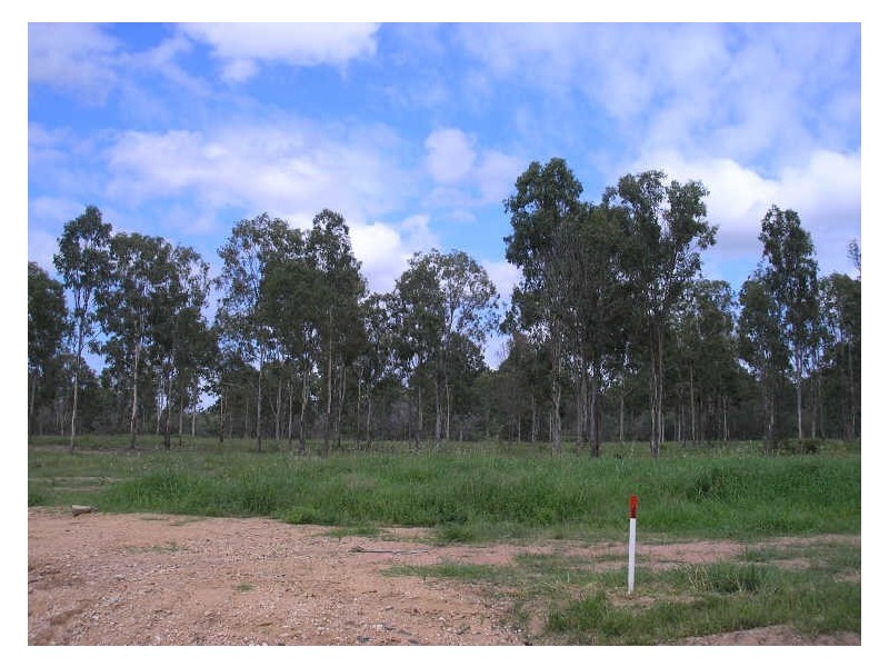 Adare QLD 4343