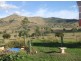 427 Ma Ma Lilydale Road, Ma Ma Creek QLD 4347