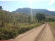 Mount Whitestone QLD 4347