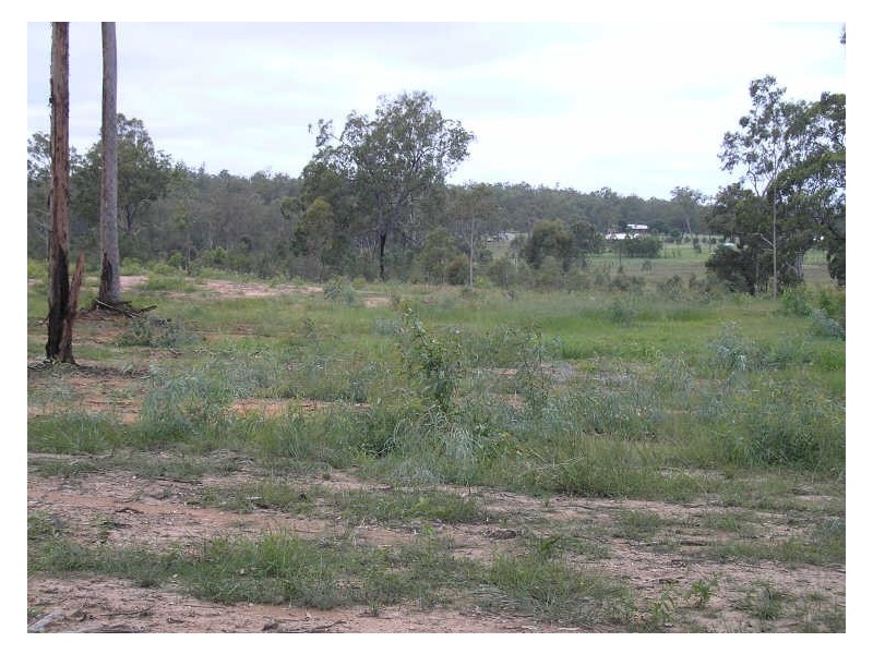 Adare QLD 4343