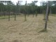 Gatton QLD 4343
