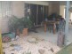 Gatton QLD 4343