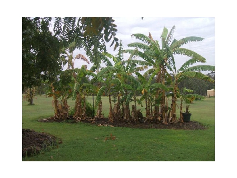 Laidley Heights QLD 4341