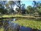 Kensington Grove QLD 4341