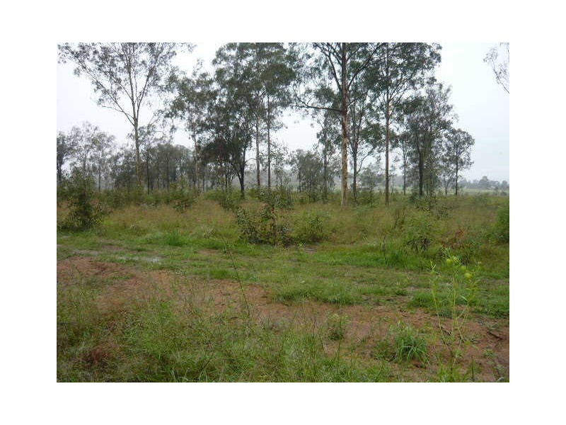 Grevillea Estate, Gatton QLD 4343