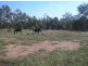 84 Bartleys Road, Spring Creek QLD 4343