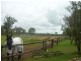 College View QLD 4343