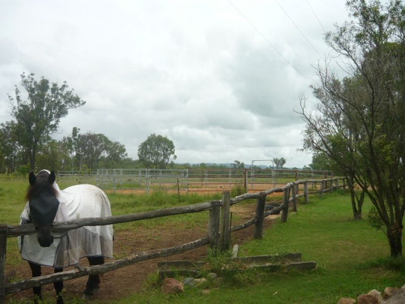 College View QLD 4343