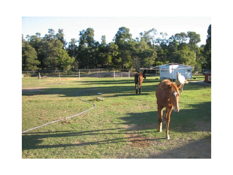 Regency Downs QLD 4341