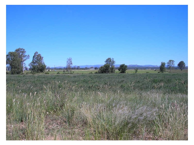 Adare QLD 4343