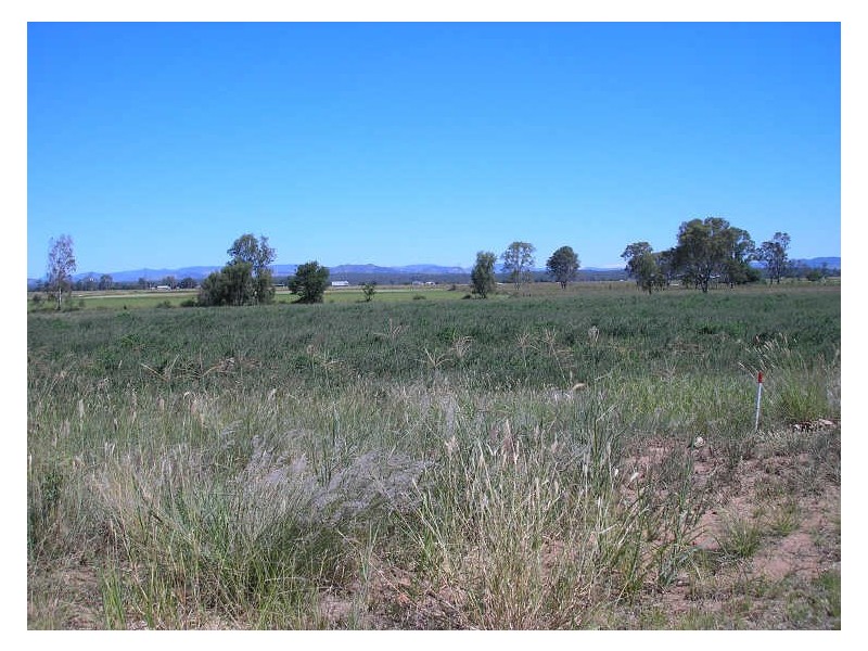 Adare QLD 4343