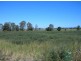 Adare QLD 4343