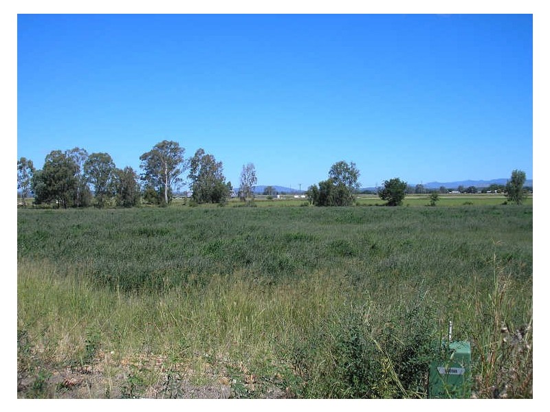 Adare QLD 4343