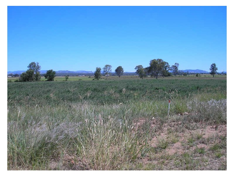 Adare QLD 4343