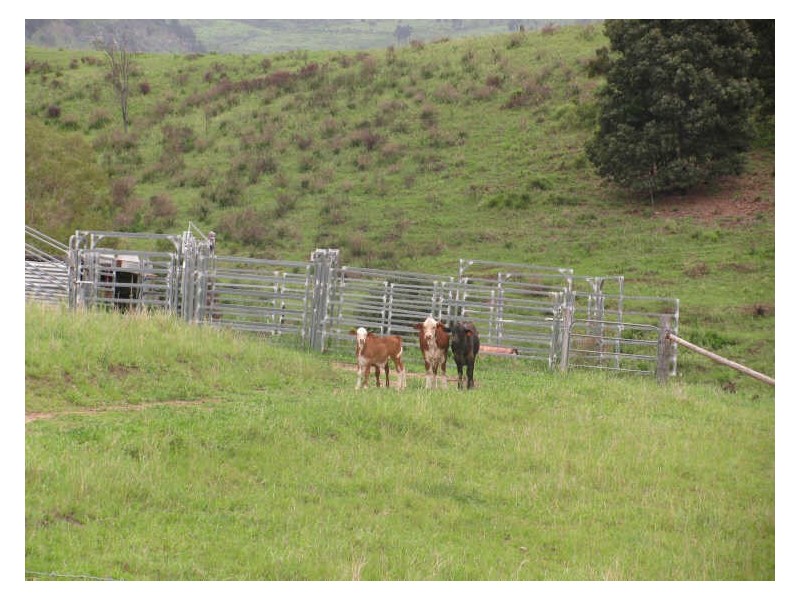Mount Sylvia QLD 4343