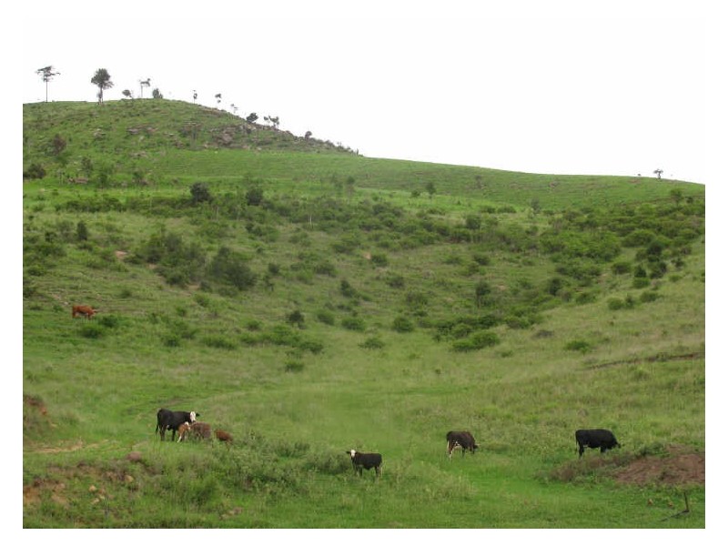 Mount Sylvia QLD 4343