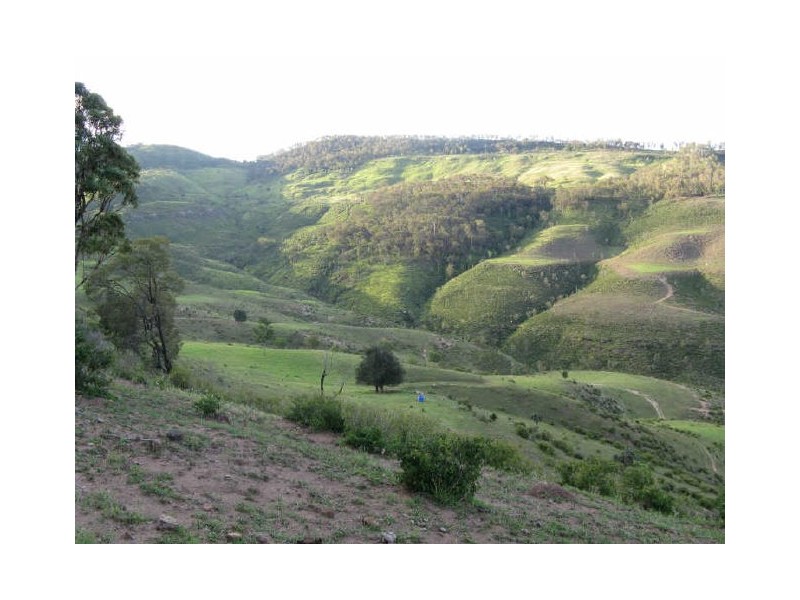 Mount Whitestone QLD 4347